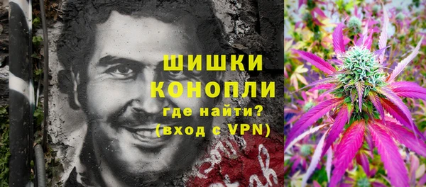 PSILOCYBIN Вязники
