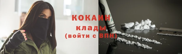 PSILOCYBIN Ессентукская