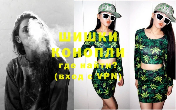 PSILOCYBIN Вязники