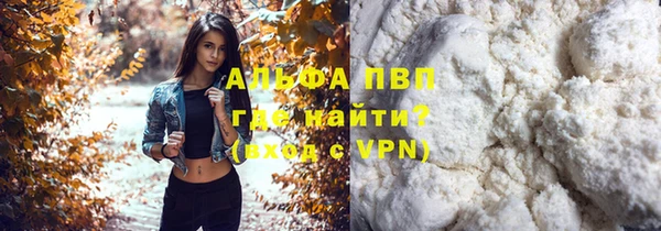 PSILOCYBIN Вязники