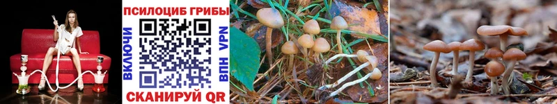Купить  Петушки  Псилоцибиновые грибы Magic Shrooms 